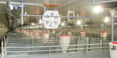 平成30年03月竣工 ㈲島根ポーク金城農場改修第2期工事